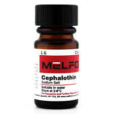 Cephalotin Sodium Salt 25mg Cephalotin Sodium Salt 25mg